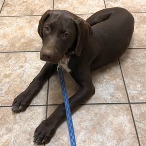 Meet your Posher, Alicia